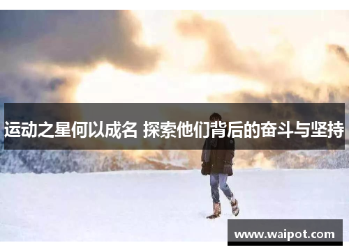 运动之星何以成名 探索他们背后的奋斗与坚持